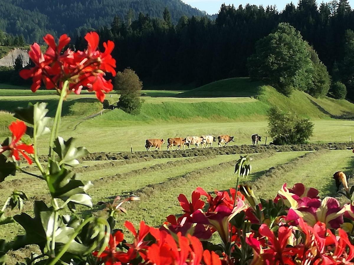 Gaestehaus Gruenbacher เคิสเซน ภายนอก รูปภาพ